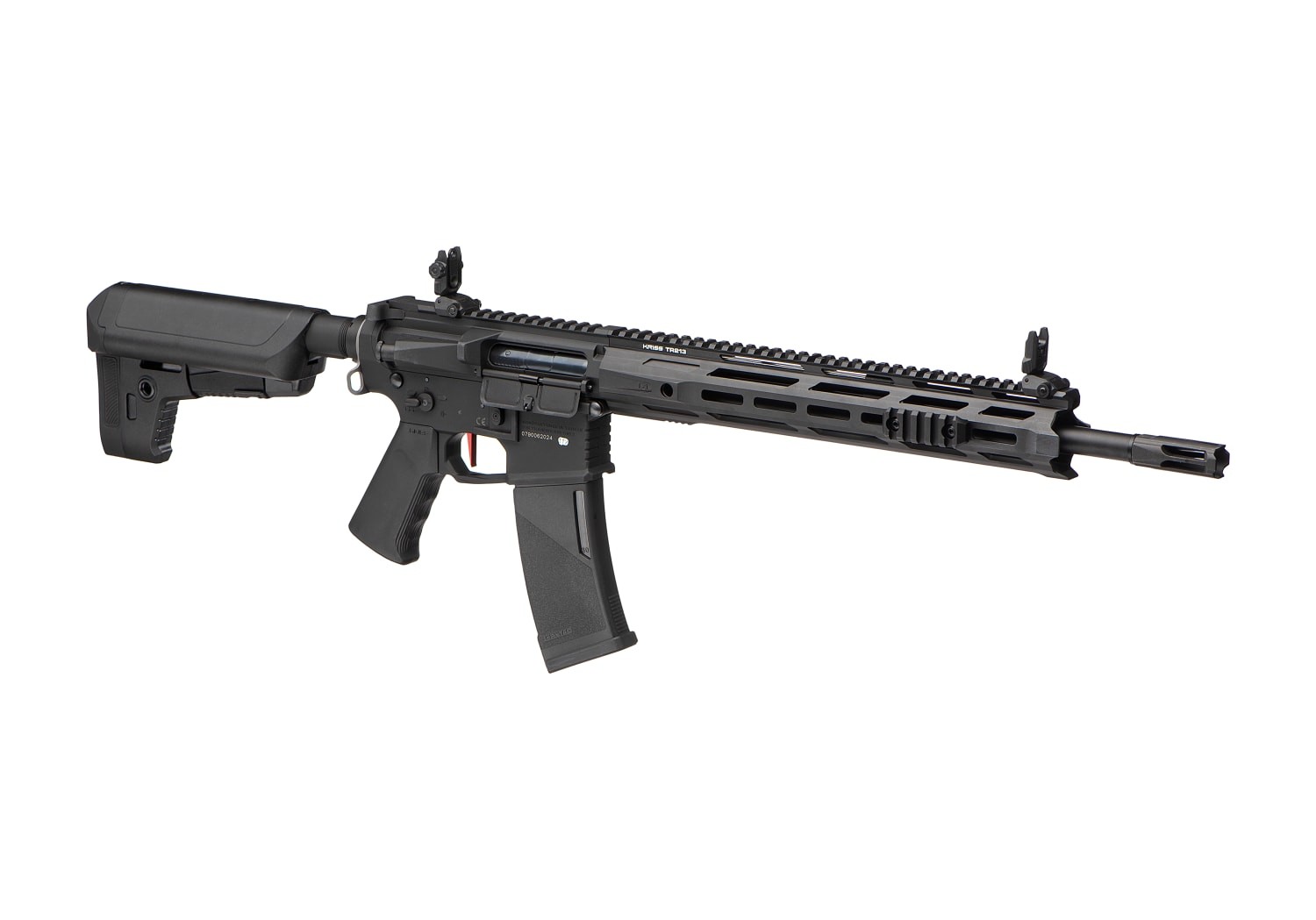 AEG Custom Assault Rifles